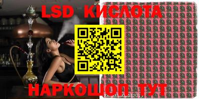 дмт Кингисепп