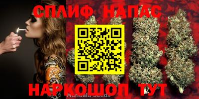 дмт Кингисепп