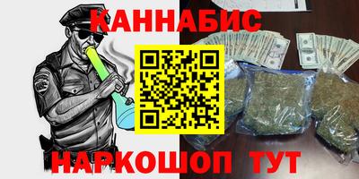 дмт Кингисепп